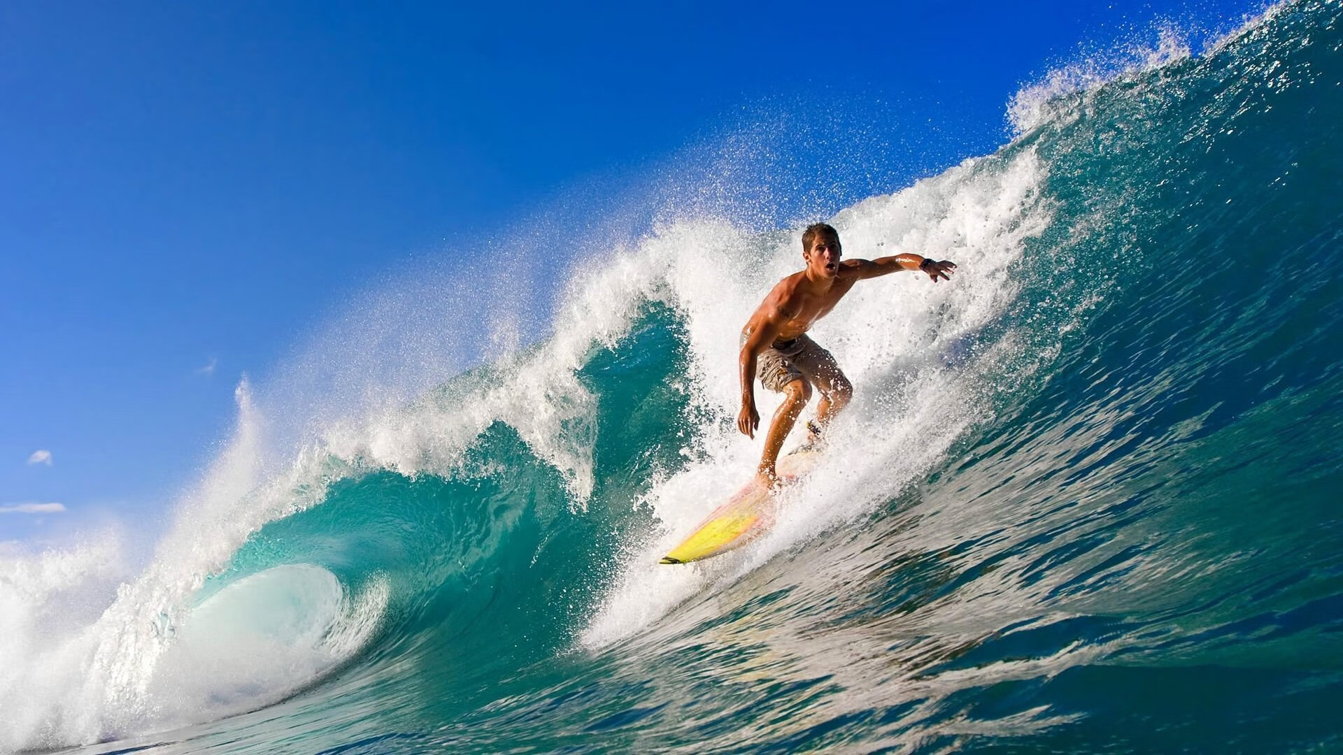 托里·哈斯克女子100米自由泳决赛精彩亮相